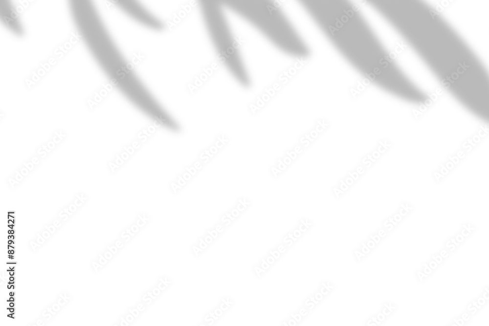 Plant shadow png, Botanical shadow in transparent background, design palm tropical leaves. Black and white branch shadow overlay effect. For business cards, Plant shadow png, Botanical shadow in transparent background, design palm tropical leaves. Black and white branch shadow overlay effect. For business cards,
