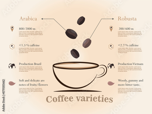 Infographic comparing Arabica and Robusta coffee varieties, detailing altitude, caffeine content, production regions, and flavor profiles. Highlights differences in taste and cultivation.