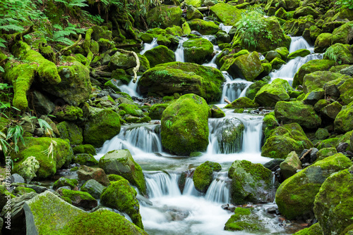 waterfall in the forest