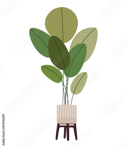Tropical houseplant in flower pot. Green indoor potted plant in flowerpot. Trendy office and home plant for interior decoration. Flat vector flower illustration isolated on a white background.