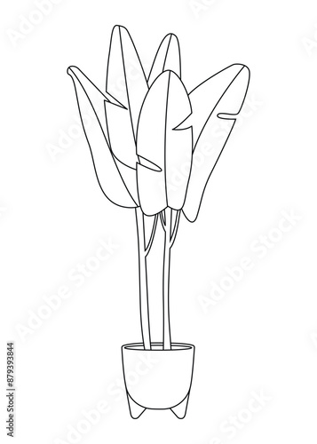 Banana houseplant. Potted plant outline vector. Line art indoor flower in a flowerpot. Doodle sketch house plant in a pot for home decor. Botanical floral element. Illustration on white background.