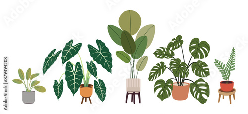 Potted plants set. Indoor houseplants in flowerpots. Trendy home decor with indoor plants in Scandinavian style pots. Colorful house flowers. Flat vector illustration isolated on a white background.
