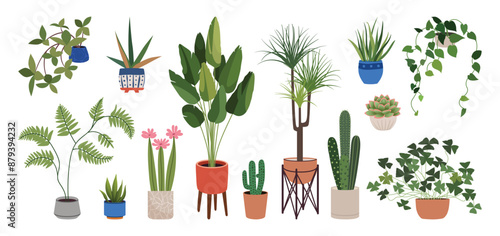 Potted plants set. Indoor houseplants in flowerpots. Trendy home decor with indoor plants in Scandinavian style pots. Colorful house flowers. Flat vector illustration isolated on a white background.