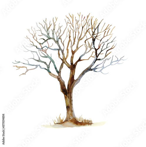 withered tree watercolor digital painting good quality