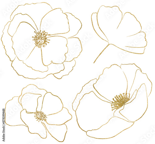 Hand drawn wildflowers, golden outlines poppy flowers isolated illustration, wedding stationery