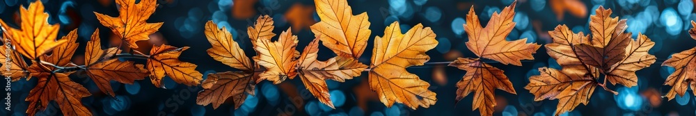 autumn leaves close up widescreen background. autumn leaves close up widescreen background.