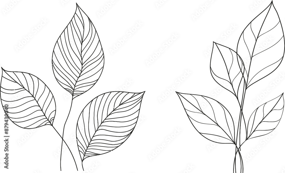 Line drawing of plant seeds growing from soil to seedlings. Plant leaves and seeds growing together on a natural farm concept design. One sketch outline drawing of a modern illustration. Line drawing of plant seeds growing from soil to seedlings. Plant leaves and seeds growing together on a natural farm concept design. One sketch outline drawing of a modern illustration.