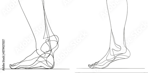 Doodle illustration of bare foot in a simple linear style. Concept of wellness massage and caring for soft skin. Editable strokes. Doodle modern illustration.