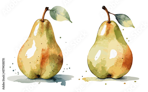 Vector illustration of fresh juicy pear, watercolor style