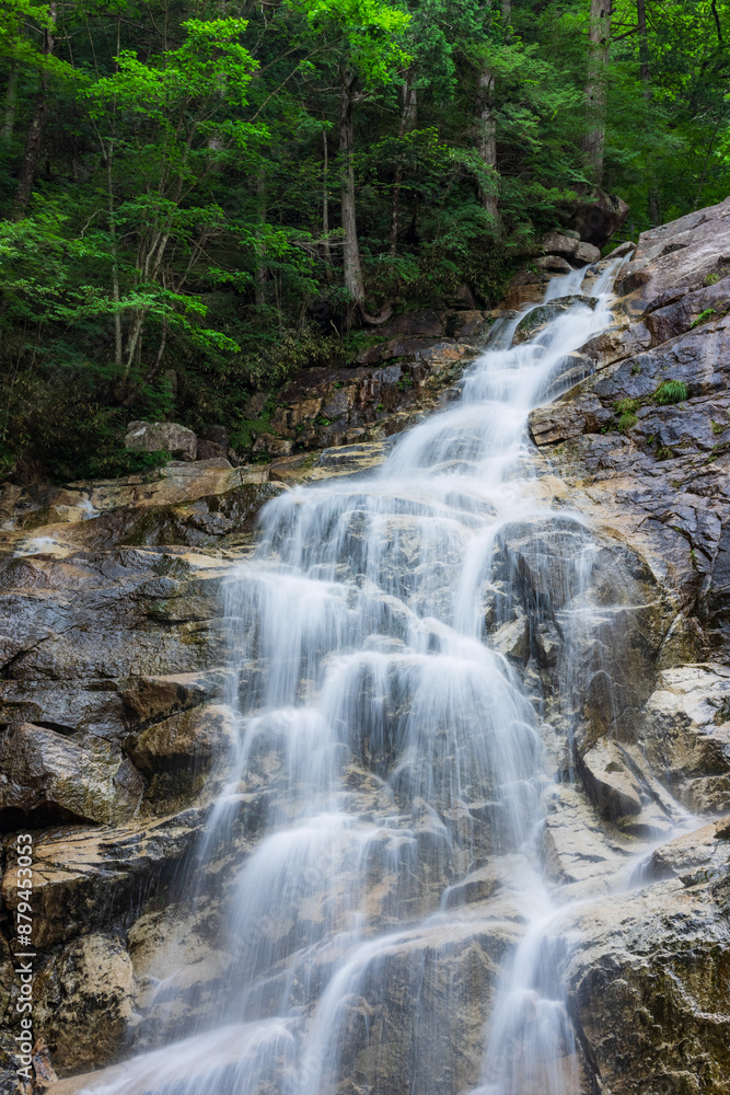 Obraz premium waterfall in the forest