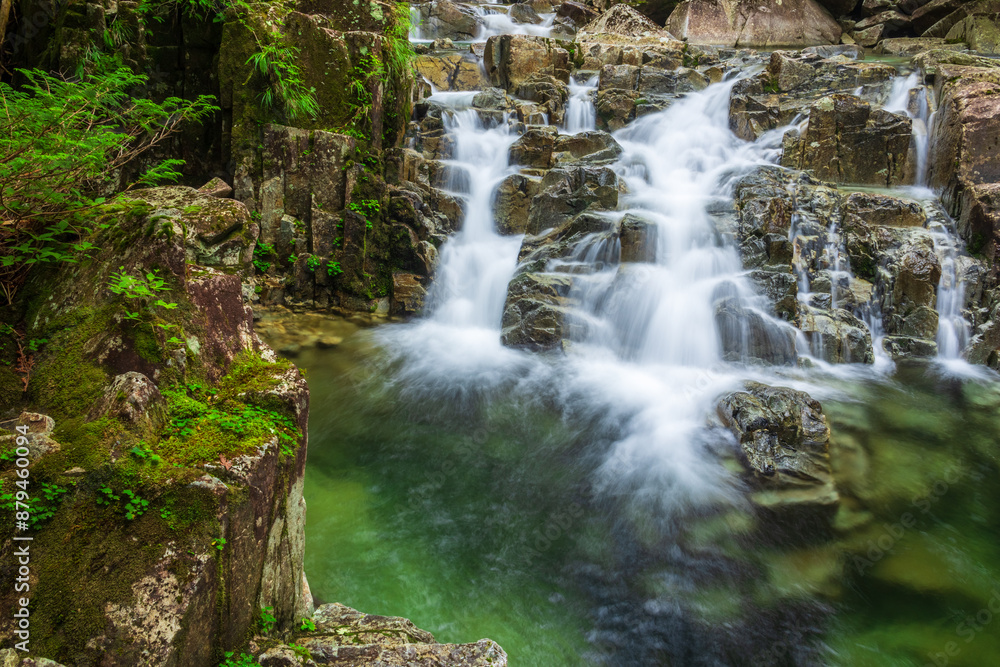 Fototapeta premium waterfall in the forest