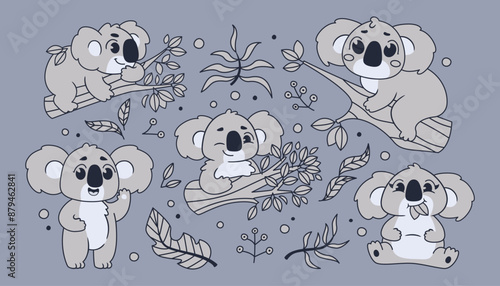 Photography Cute koalas with leaves and branches