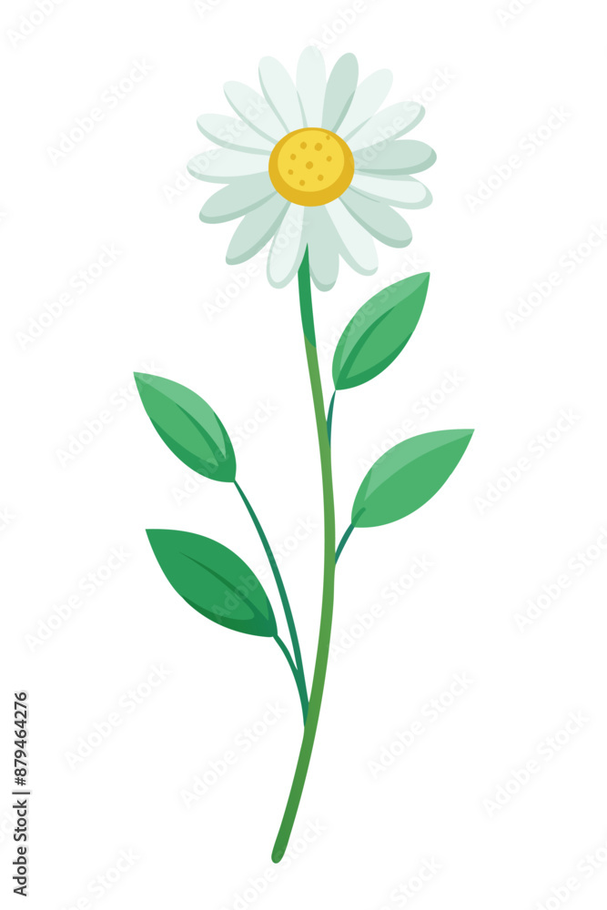 Fototapeta premium Daisy Plant minimal design vector illustration