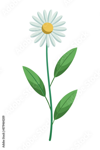 Daisy Plant minimal design vector illustration