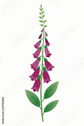 Foxglove plant minimal design vector illustration