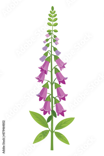 Foxglove plant minimal design vector illustration