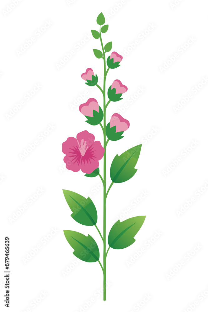 Hollyhock plant minimal design vector illustration Hollyhock plant minimal design vector illustration