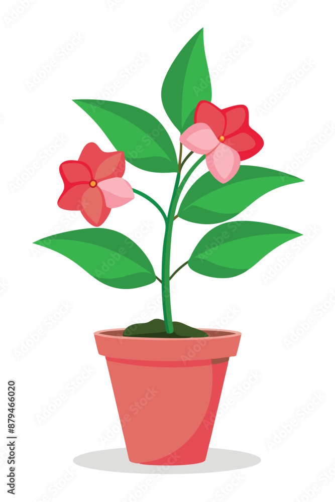 Fototapeta premium Impatiens plant minimal design vector illustration