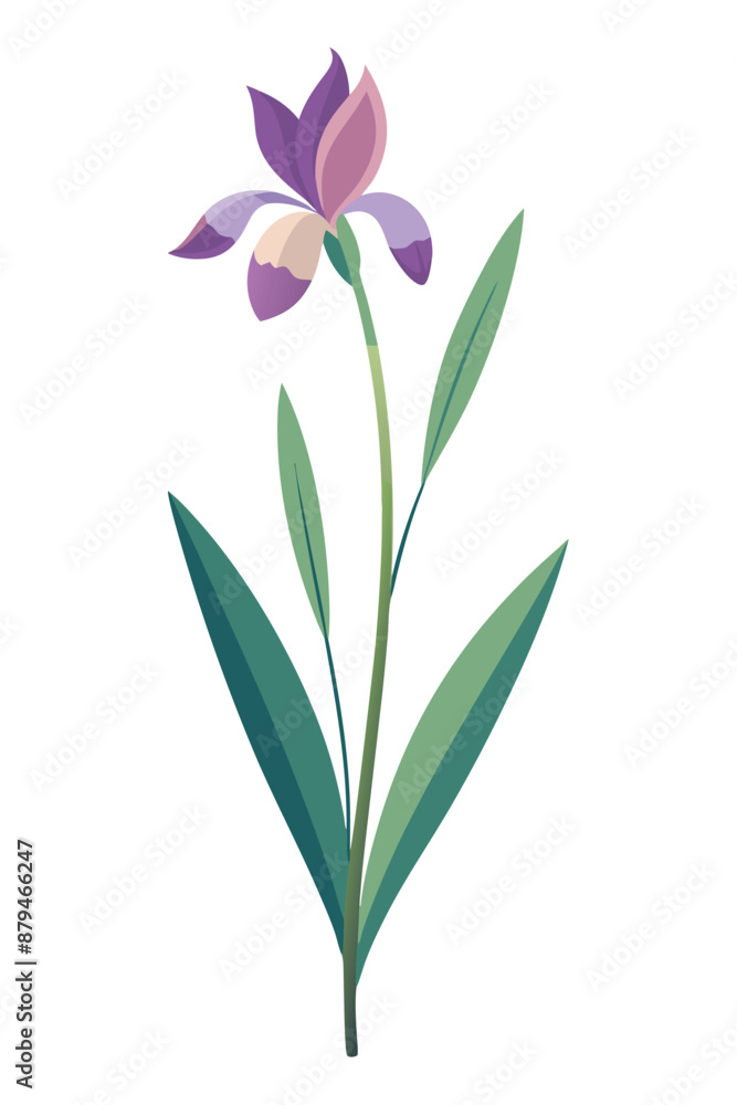 Iris plant minimal design vector illustration