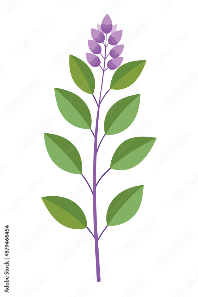 Fototapeta premium Lilac plant minimal design vector illustration