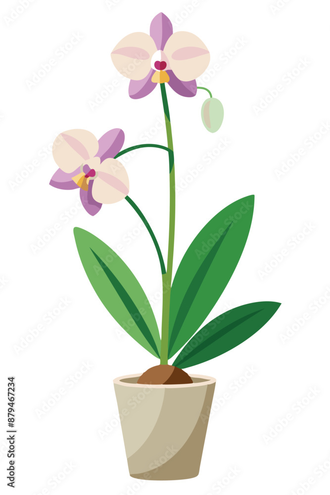 Orchid plant minimal design vector illustration Orchid plant minimal design vector illustration