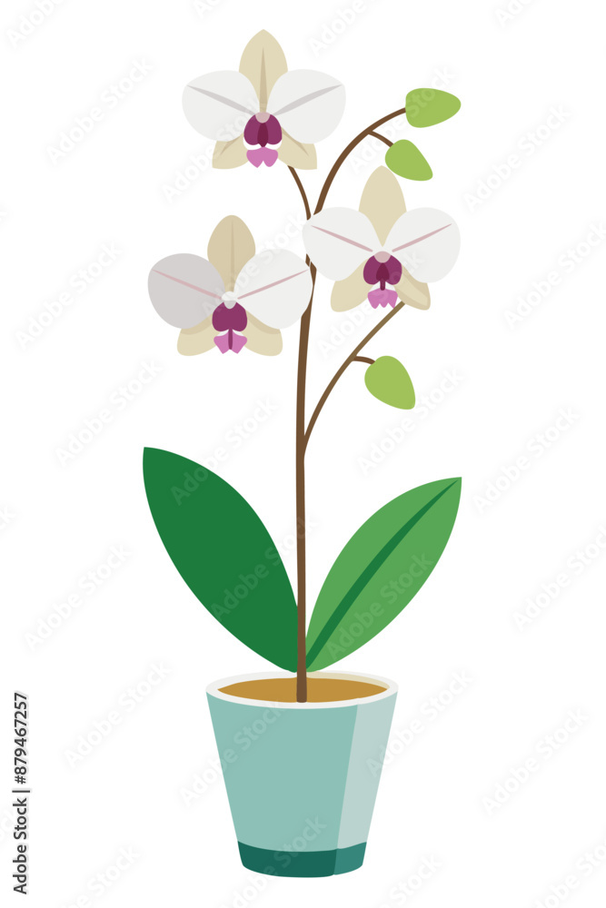 Orchid plant minimal design vector illustration Orchid plant minimal design vector illustration