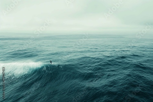 boat in the ocean © Damian