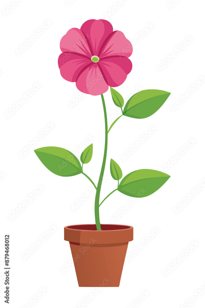 Petunia plant minimal design vector illustration Petunia plant minimal design vector illustration