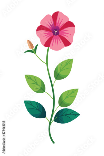 Petunia plant minimal design vector illustration