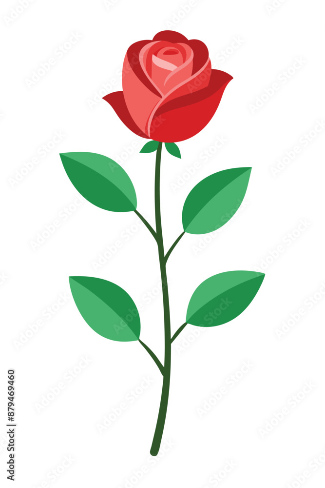 Fototapeta premium Rose plant minimal design vector illustration