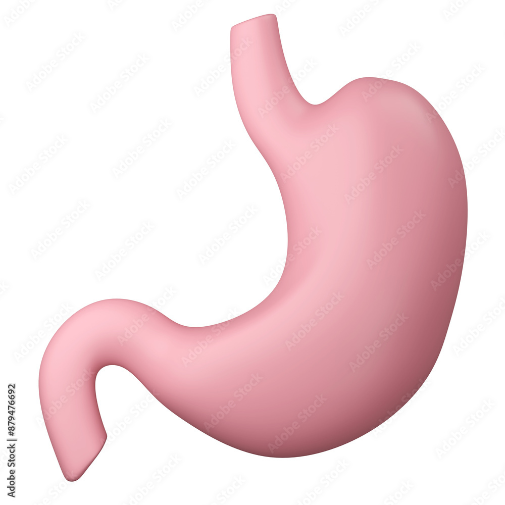 Healthy stomach 3D cartoon illustration Healthy stomach 3D cartoon illustration