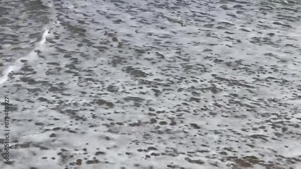 Rhythmic Tides Rhythmic Tides