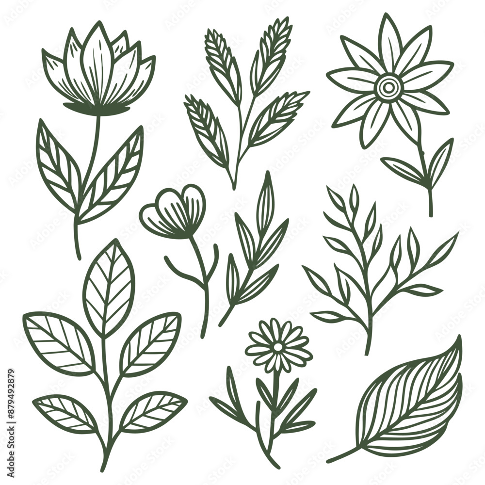 vector set of botanical leaf doodle wildflower line art, illustration vector set of botanical leaf doodle wildflower line art, illustration