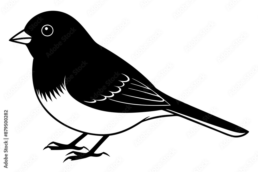 bird on a branch bird on a branch
