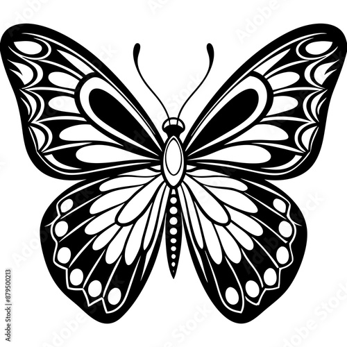 black and white butterfly