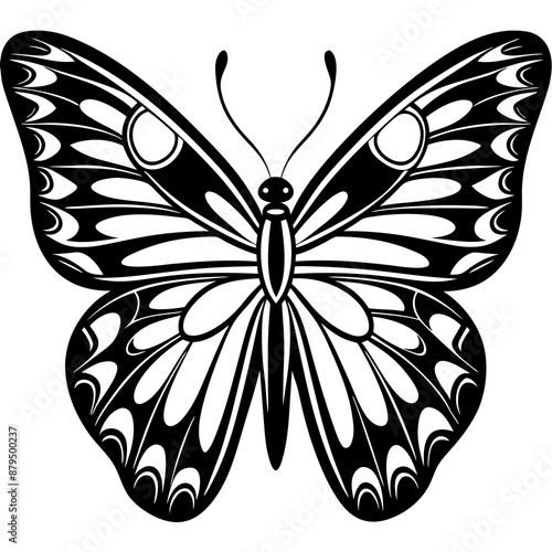 butterfly design