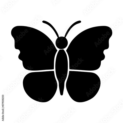 butterfly illustration