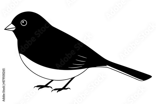 illustration of a bird