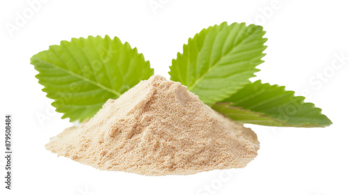 Foto Slippery elm isolated on white background