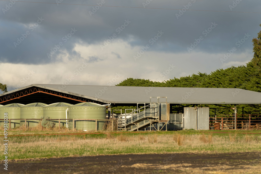 cattle yards on farm with a roof with plastic water tanks around them in australia cattle yards on farm with a roof with plastic water tanks around them in australia