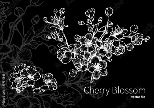 Beautiful cherry blossoms filled with details in white and dark gray design. Hand drawn vector outline ready to be used, easily edited, for both print and online projects. 