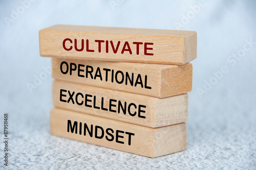 Cultivate operational excellence mindset text on wooden blocks. Operational excellence concept