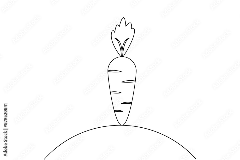 Carrot continuous one line drawing of isolated outline vector art illustration Carrot continuous one line drawing of isolated outline vector art illustration