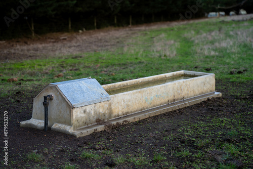 livestock water trough in a field on a cattle farm in Australia photo