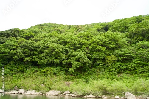 Scenery of the edge of the Shimanto River photo