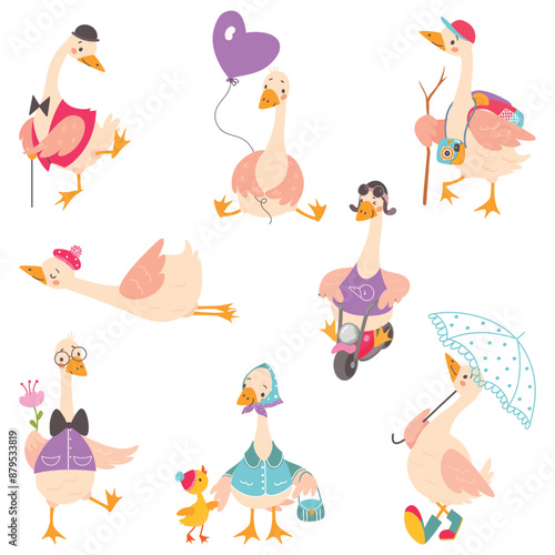 Cute goose. Funny cartoon geese traveling walking driving flying. Birds in outfits, farm bird driver and mom duck with duckling, nowaday vector set