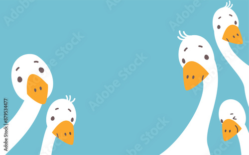 Cartoon goose background. Curious geese peeking, cute interesting characters. Farm birds looking front. Decorative animal nowaday vector banner