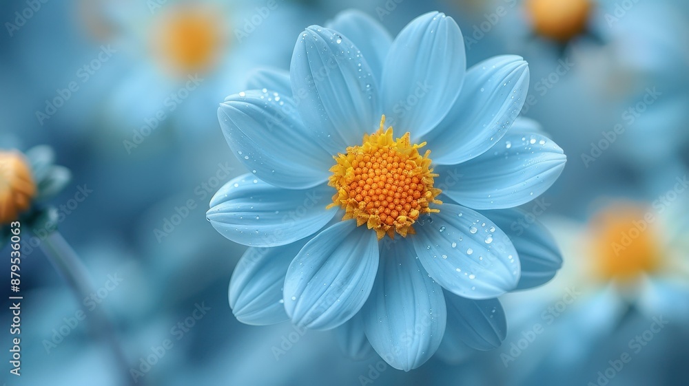 Close-up of a blue floral bloom with water droplets on petals. Vibrant flower photography perfect for nature and garden themes. Close-up of a blue floral bloom with water droplets on petals. Vibrant flower photography perfect for nature and garden themes.