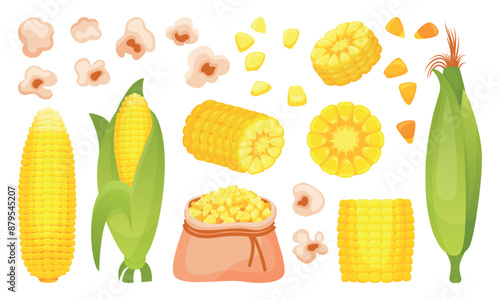 Cartoon corn. Corns cob popcorn and grains in textile bag. Agriculture harvest elements, seasonal farm plants. Grains crop neoteric vector elements