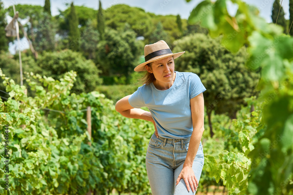 Young female farmer. Woman working during harvesting time Young female farmer. Woman working during harvesting time